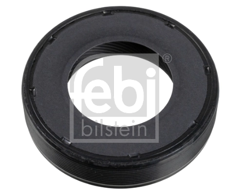 Shaft Seal, differential